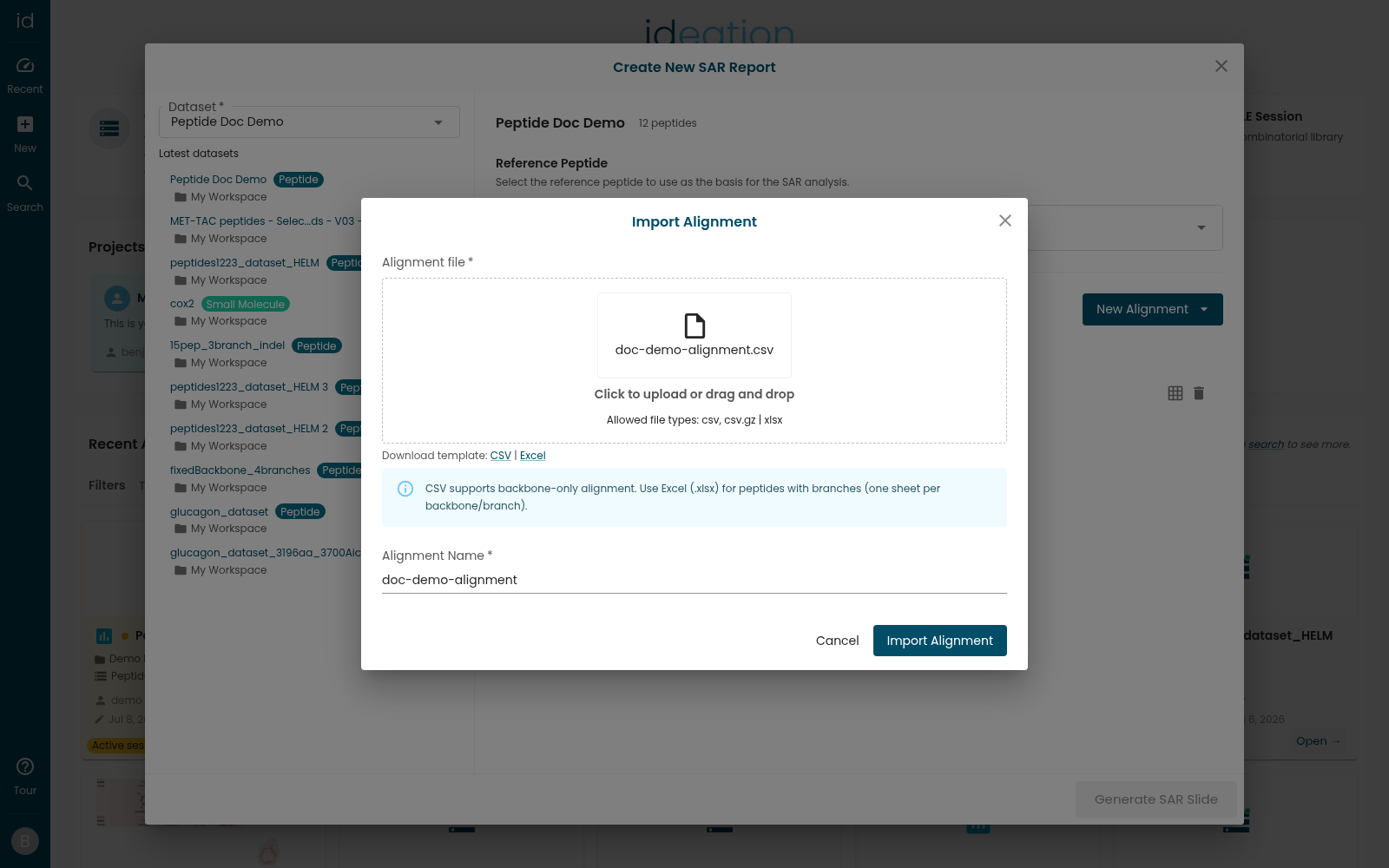 The Import Alignment dialog with a selected CSV file, the CSV and Excel template links, the CSV-versus-Excel guidance note, and the Alignment Name field